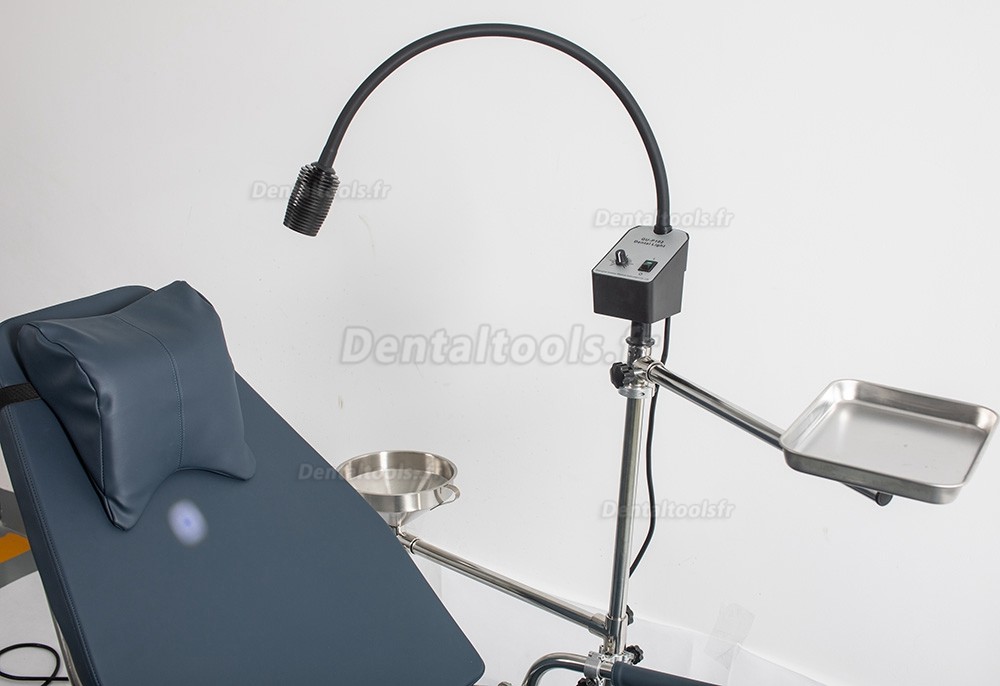 Greeloy GU-P101 Chaise Pliable Dentaire Portable Acier Inoxydable + GU-P102 Lampe d'examen Dentaire